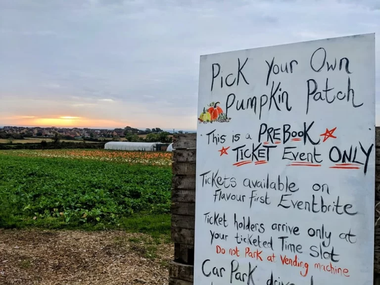 A hand-painted sign reading “Pick Your Own Pumpkin Patch — this is a pre-book ticket event only”