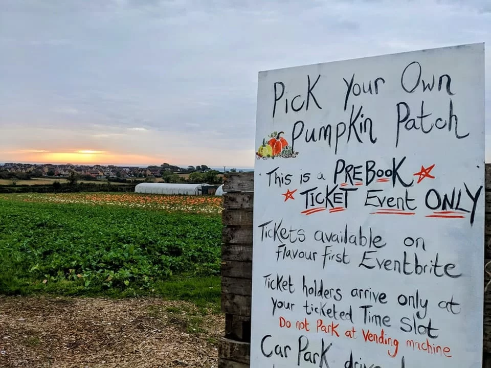 A hand-painted sign reading “Pick Your Own Pumpkin Patch — this is a pre-book ticket event only”